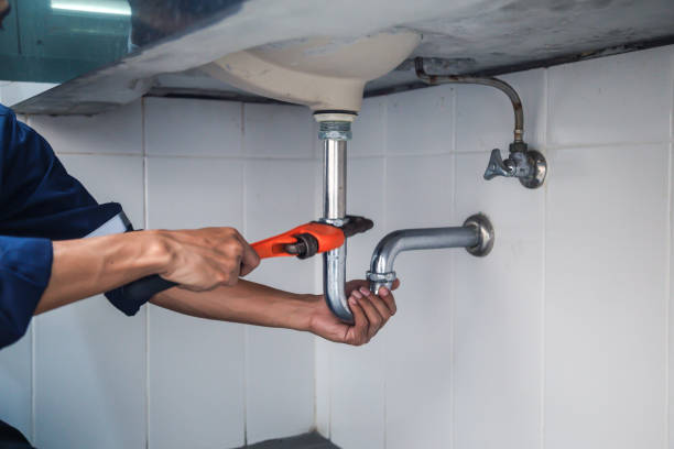 Best Drain Cleaning Services  in Cary, IL