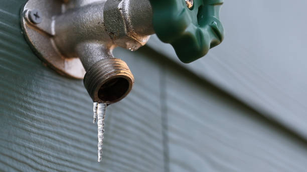 Best Commercial Plumbing Services  in Cary, IL