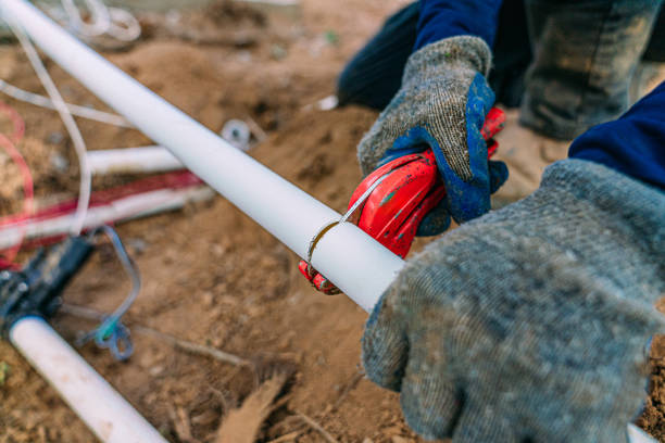 Best Sewer Line Repair  in Cary, IL